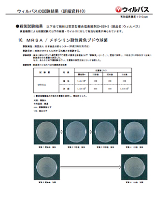 MRSA 시험 성적서