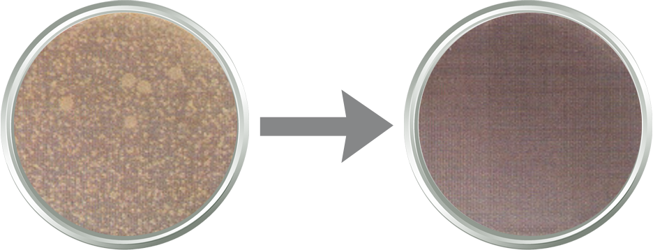 E.coli 대장균 30ppm, 30초 후 결과